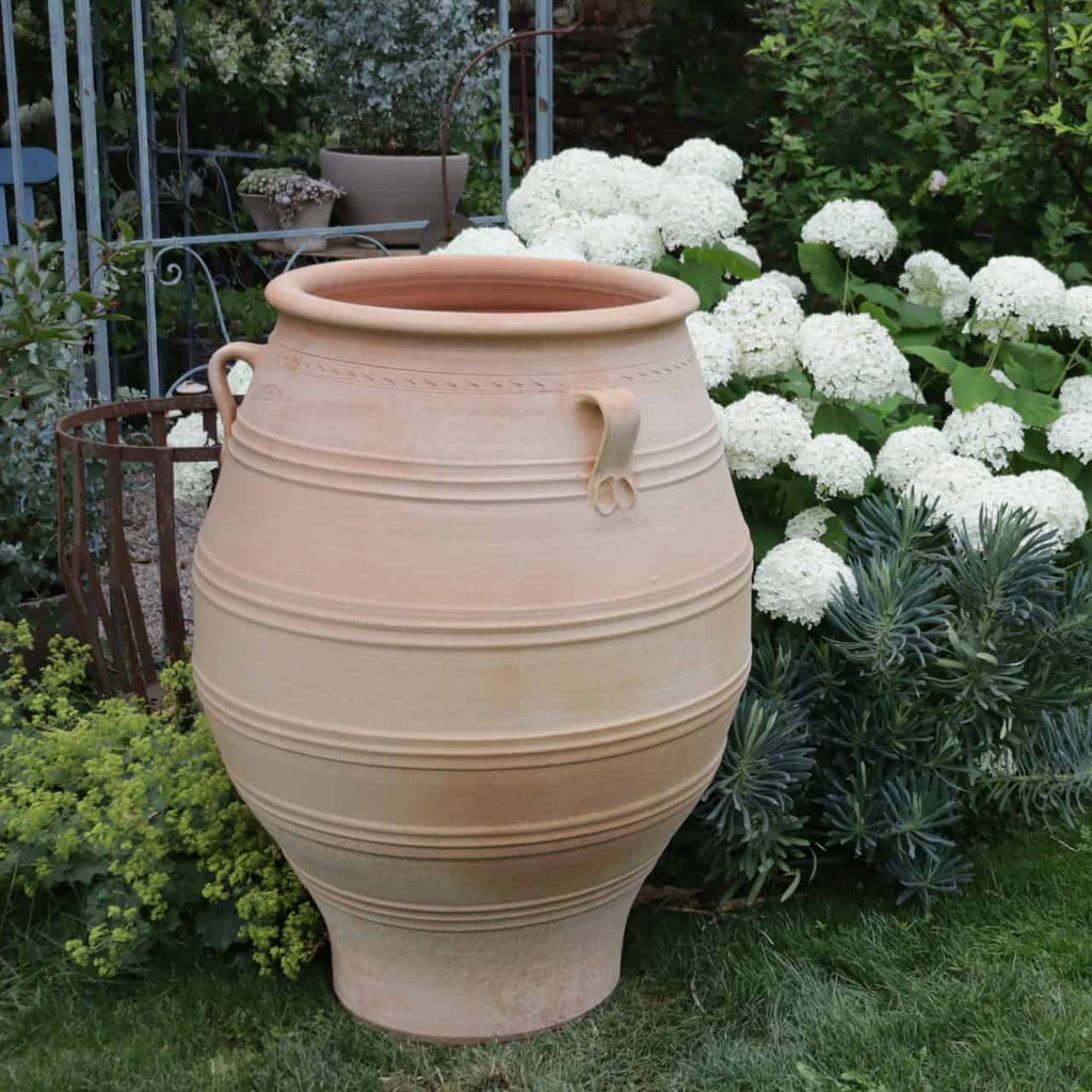 Eine große XXL Terrakotta Amphore „Thymus“, 100 cm hoch und mit dekorativen Henkeln versehen, steht auf einer gepflegten Rasenfläche, umgeben von blühenden weißen Hortensien und verschiedenen Grünpflanzen. Im Hintergrund sind Gartenmöbel und weitere Topfpflanzen zu sehen.