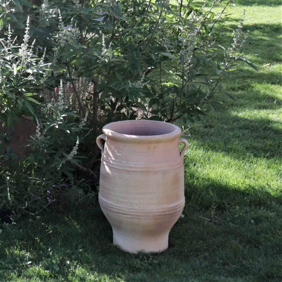 Eine frostbeständige Amphora-Gartenvase namens „Thymus“ mit einer Höhe von 50 cm steht eindrucksvoll auf einem grünen Rasen, der im Hintergrund teilweise von üppigen, belaubten Büschen beschattet wird. Das Sonnenlicht wirft sanfte Schatten auf die Vase und die Umgebung und schafft so eine ruhige Gartenszene.