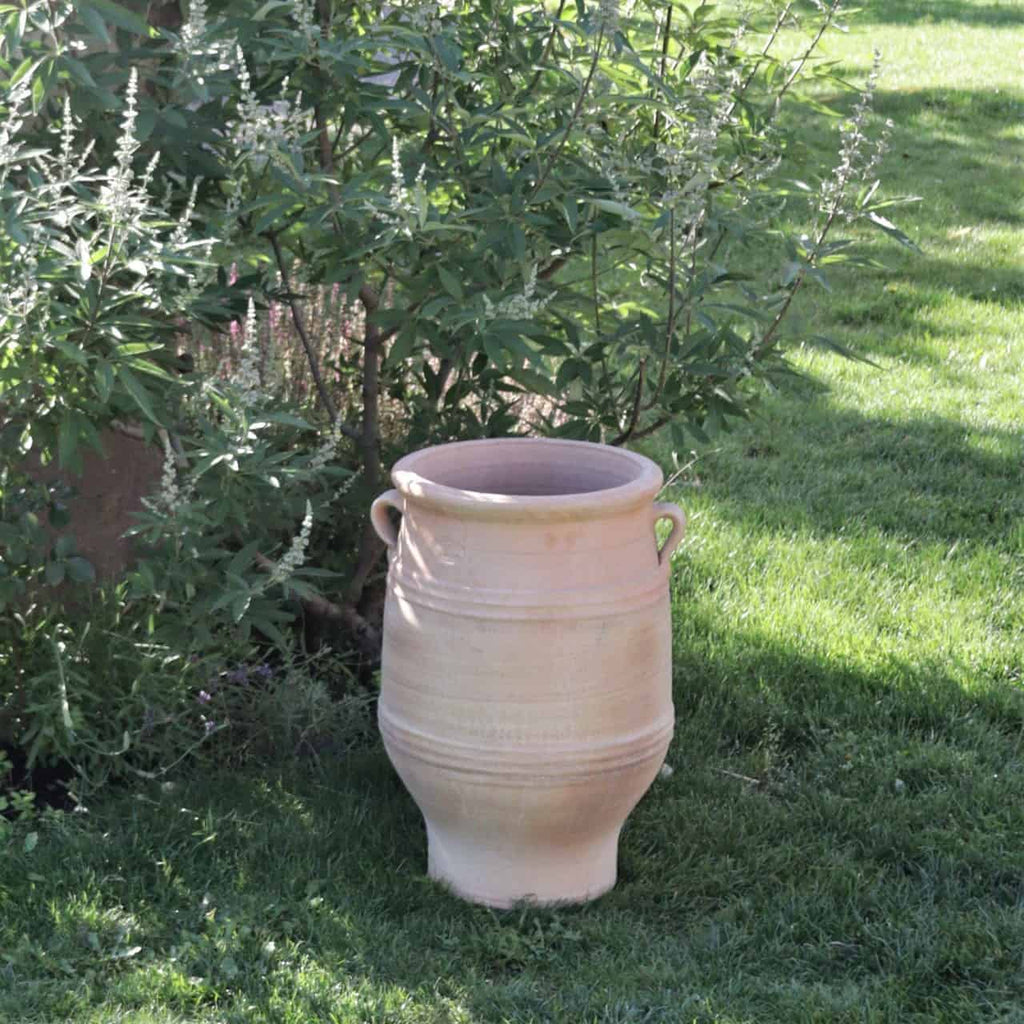 Ein großer, beigefarbener, frostfester Amphore Garten „Thymus“ mit zwei kleinen Henkeln an beiden Seiten steht auf einem sauber gemähten grünen Rasen. Hinter dem Topf befinden sich grüne Blätterbüsche und andere Pflanzen, die einen natürlichen Hintergrund in einer Gartenumgebung im Freien bilden.