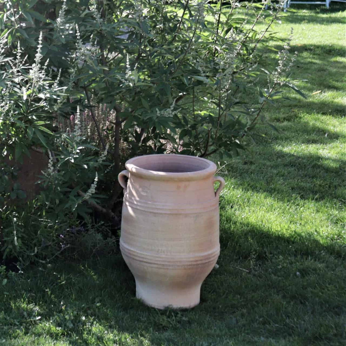 Ein frostfester Amphore Garten Keramiktopf „Thymus“ mit 50 cm Höhe und großem, beigem Design mit zwei kleinen seitlichen Henkeln steht auf einem gepflegten Rasen. Hinter dem Topf wächst üppiges Grün mit verschiedenen Pflanzen wie Thymus und Sträuchern. Die gesamte Szene ist in Sonnenlicht getaucht, was den Charme dieser Gartenanlage unterstreicht.