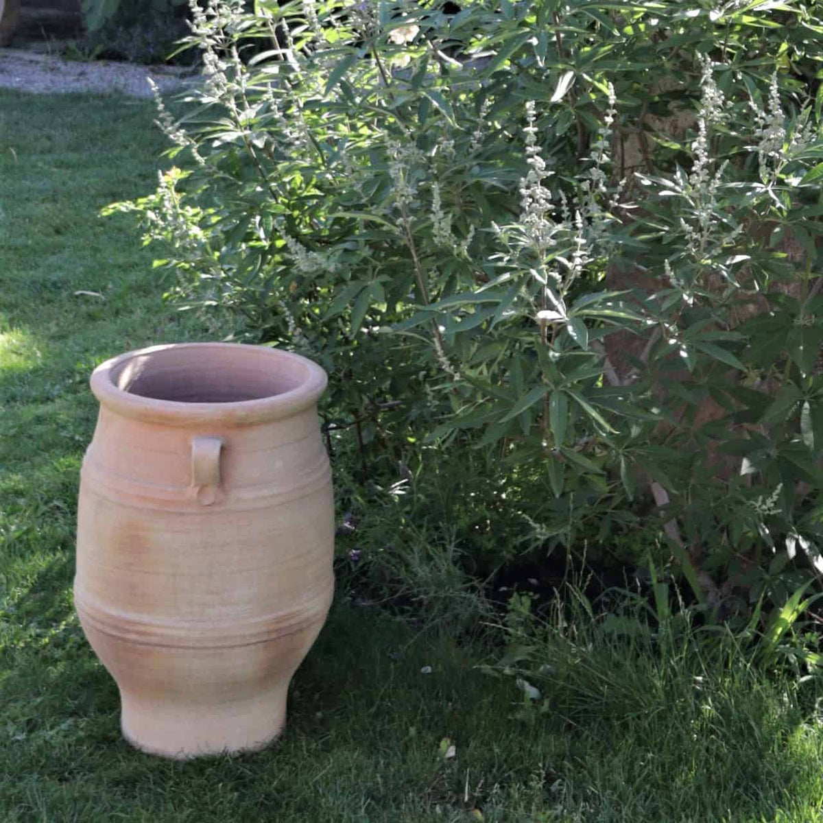 Ein großer, beigefarbener, frostfester Amphore Garten „Thymus“, 50 cm hoch, steht auf grünem Gras neben hohen, blattreichen Pflanzen, die mit weißen Blüten geschmückt sind. Die Außenszene ist in Sonnenlicht getaucht und bietet ein gartenähnliches Aussehen, in dem Thymus perfekt gedeihen kann.