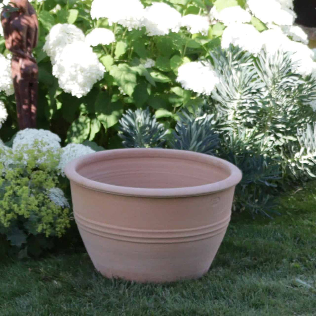 Eine große, leere, 55 cm große winterharte Pflanzschale „Veronica“ steht auf einem Rasen, umgeben von üppigem grünem Laub und weißen Hortensienblüten in voller Blüte und verleiht der Szene einen Hauch von Eleganz.