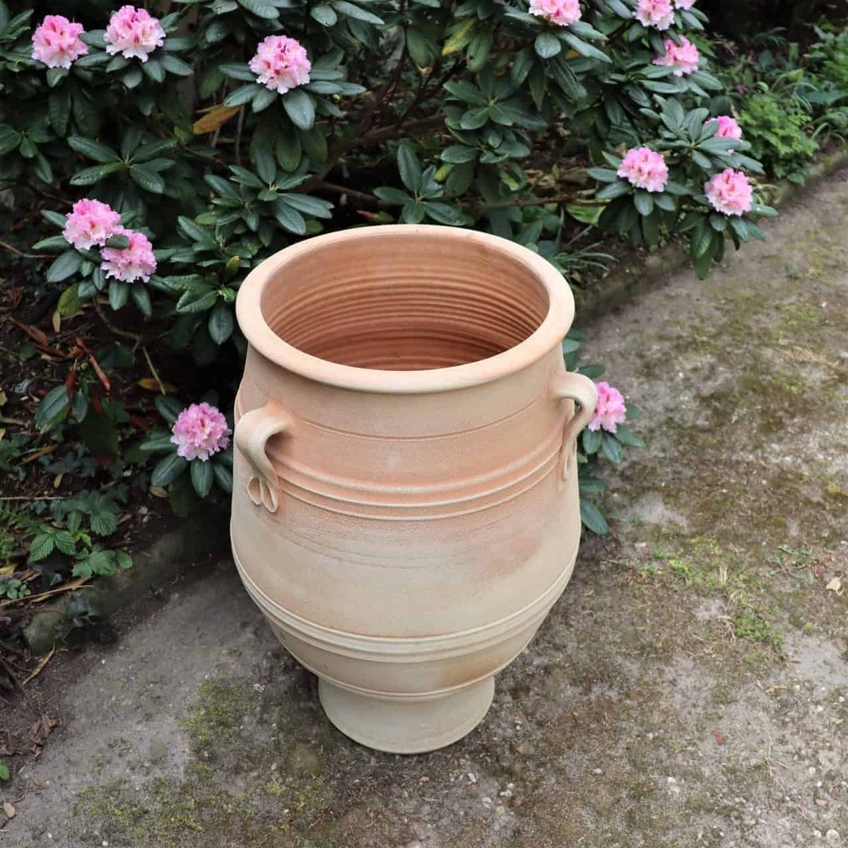 Eine hellbraune, frostbeständige Amphore Garten „Thymus“ H=70 cm mit Griffen ziert den Gartenweg, gesäumt von blühenden rosa Blumen und üppigem Grün und verleiht der lebhaften Szene eine klassische Note.