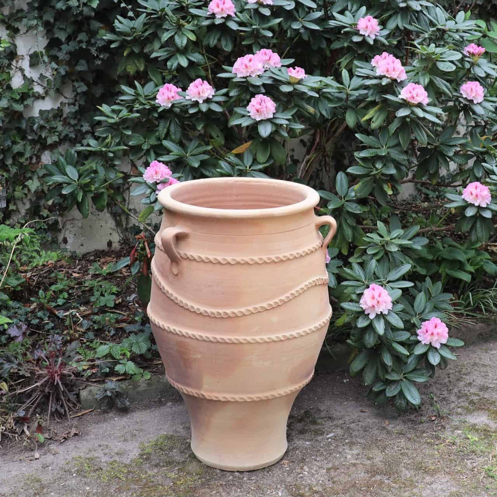 Eine große, dekorative, frostfeste Amphore „Thymus 2“ mit Griffen und kunstvollen Verzierungen steht auf einem Stück Erde. Sie ist 70 cm hoch und wird durch einen immergrünen Busch mit zahlreichen rosa Blüten in voller Blüte ergänzt, der einen lebendigen Hintergrund bildet. In der Nähe ergänzen Büschel derselben Thymus 2 die üppige Szene.