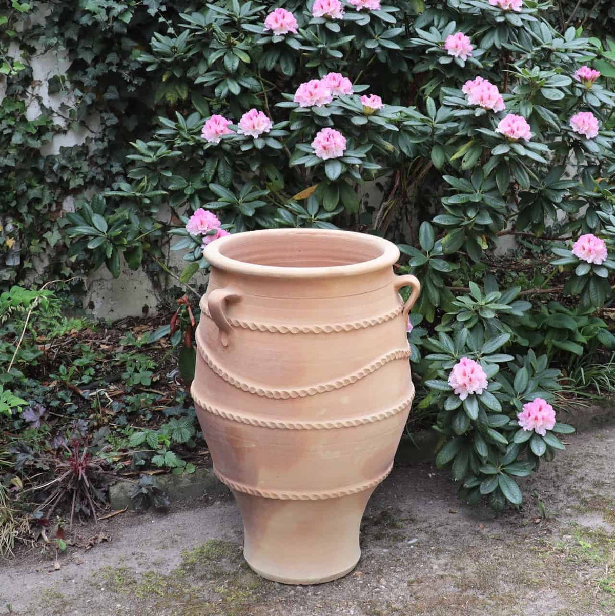 Eine große, beige frostfeste Amphore „Thymus 2“ mit einer Höhe von 70 cm steht auf dem Boden vor einem üppigen, grünen Busch, der mit blühenden rosa Blüten geschmückt ist. Die Vase weist ein strukturiertes, wirbelndes Muster auf und hat zwei kleine Griffe am Rand. Die Umgebung erinnert an einen Garten im Freien.