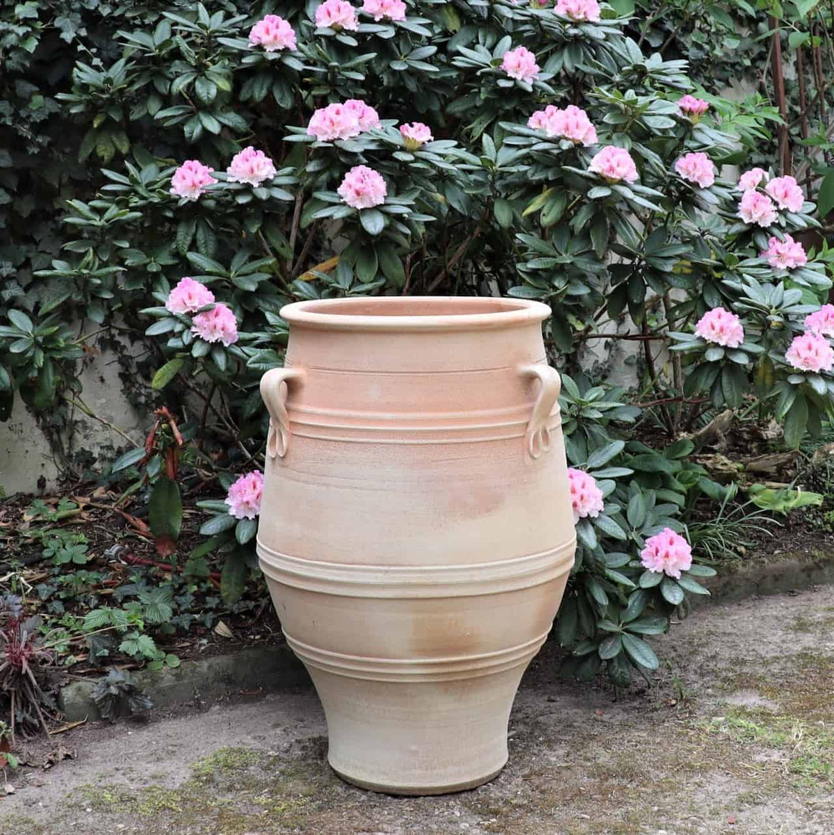 Ein großes, beigefarbenes Winterfestgefäß „Thymus“ von Amphore Garten aus Ton, 70 cm hoch, mit Griffen, steht auf einem Steinweg. Dahinter steht ein üppiger Busch mit blühenden rosa Blüten neben Thymuspflanzen, vor dem Hintergrund von lebhaftem Grün in einem bezaubernden Garten.