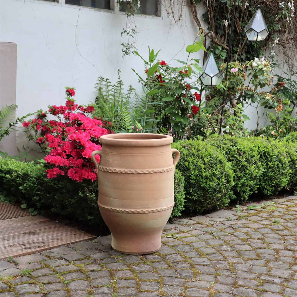 Eine große frostfeste Terrakotta-Amphore „Thymus 2“ H=50cm mit dekorativen Griffen steht auf einem Kopfsteinpflasterweg in einem Garten. Um sie herum sind leuchtend rosa Blumen, üppiges Grün und ordentlich gestutzte Büsche, im Hintergrund ein weißes Gebäude, geschmückt mit Kletterpflanzen und hängenden Laternen.