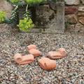 Eine Gartenszene zeigt ein Topfschnecken-Set (4 St.) aus Terrakotta mit vier kleinen Schneckenskulpturen, die auf einem Kiesbett ruhen. Hinter den Schnecken befindet sich eine Steinplatte inmitten üppiger Pflanzen und Grün. Der Hintergrund zeigt eine charmante rustikale Steinmauer.