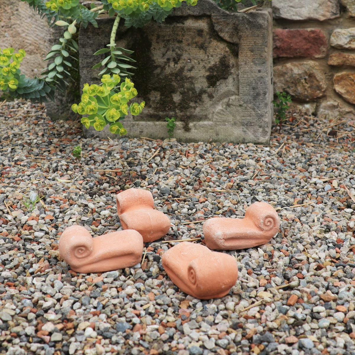 Eine Gartenszene zeigt ein Topfschnecken-Set (4 St.) aus Terrakotta mit vier kleinen Schneckenskulpturen, die auf einem Kiesbett ruhen. Hinter den Schnecken befindet sich eine Steinplatte inmitten üppiger Pflanzen und Grün. Der Hintergrund zeigt eine charmante rustikale Steinmauer.