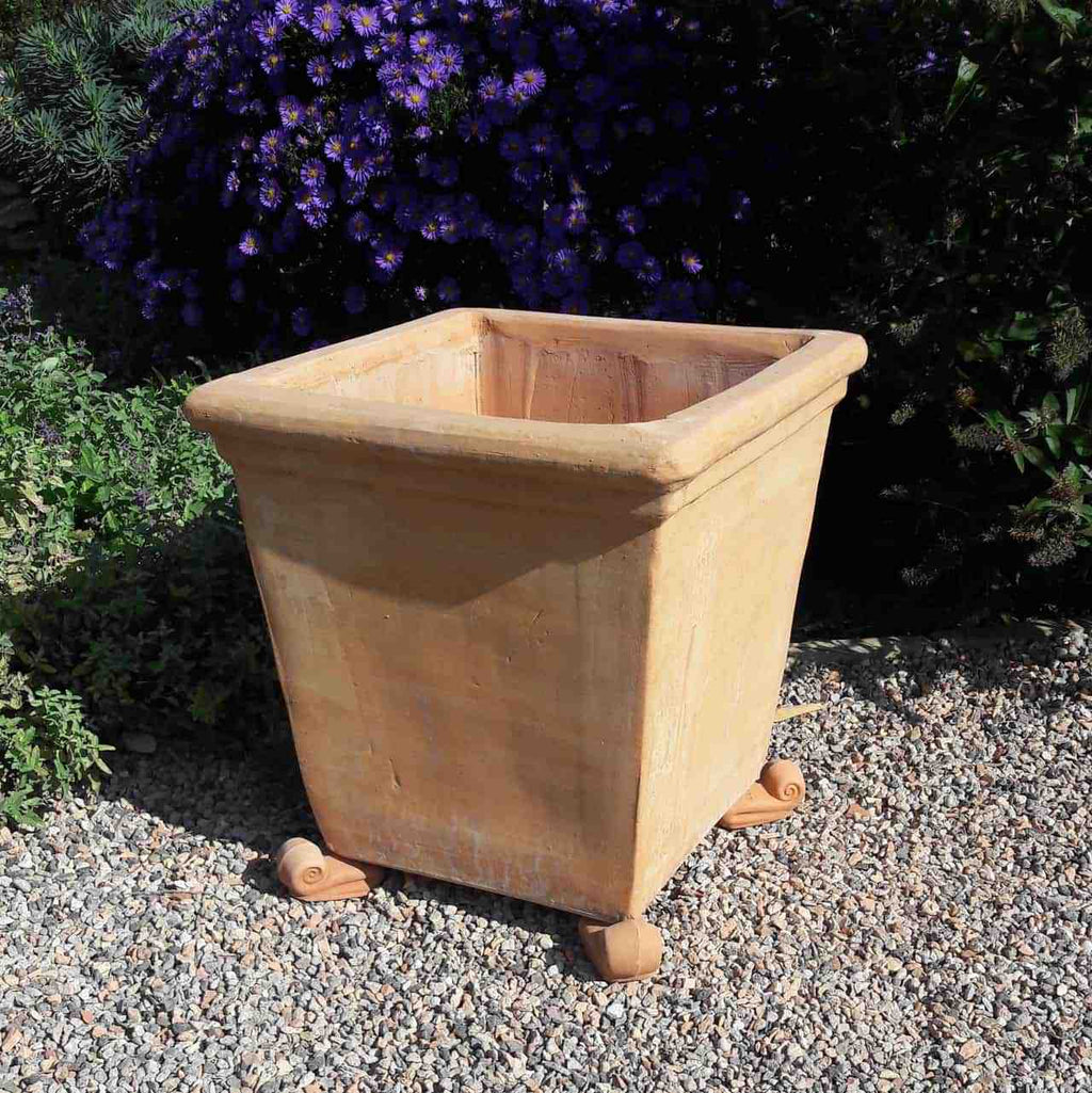 Ein quadratischer Terrakotta-Pflanztopf steht auf einer Kiesfläche mit einem 30 cm großen Terrakotta-Unterteller darunter. Der Pflanztopf hat eine umrandete Oberseite und steht auf vier dekorativen Füßen. Dahinter bilden üppige grüne Büsche und eine Ansammlung leuchtend violetter Blumen eine malerische Kulisse.