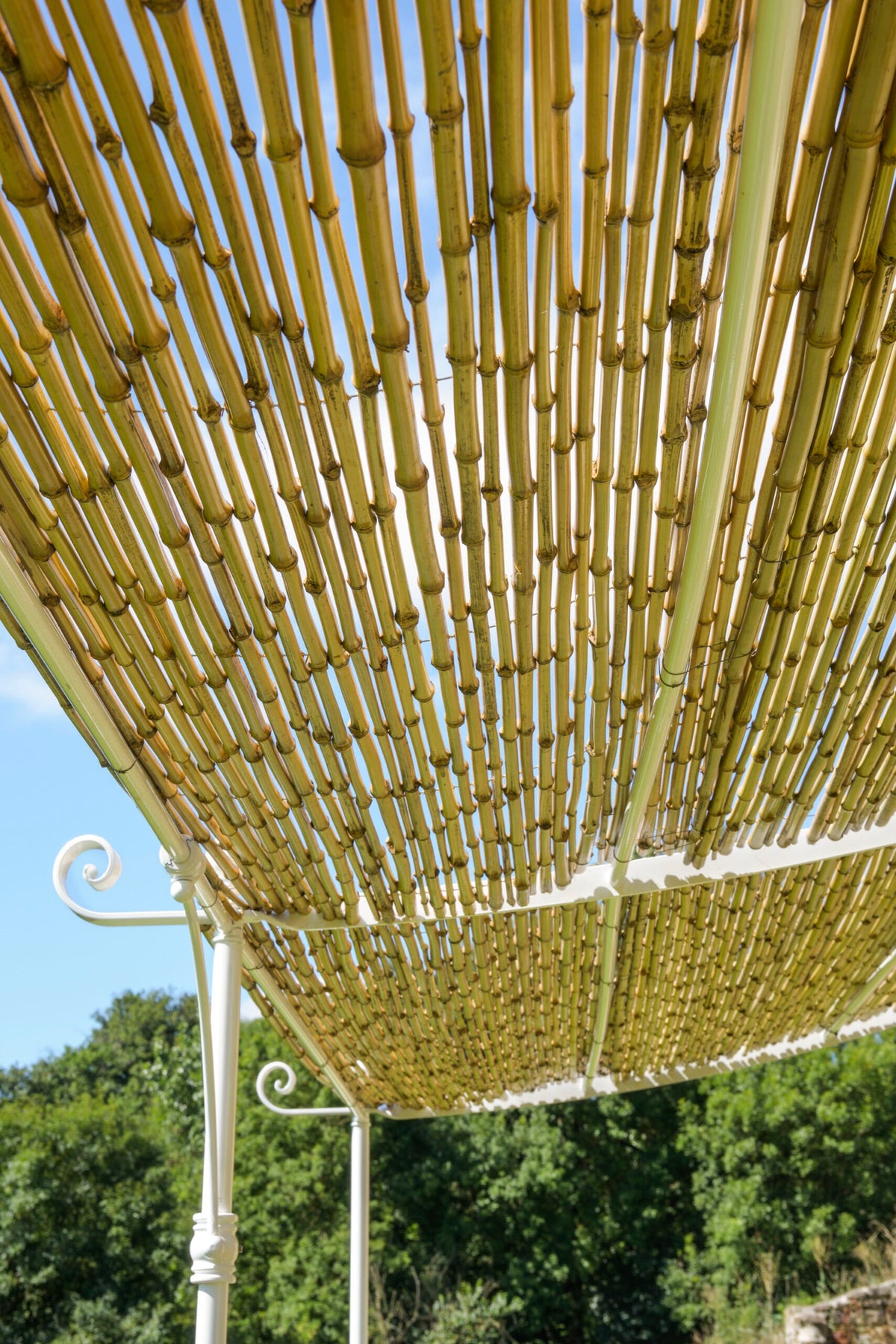 Eine lineare Anbaupergola Solaire-Sonnenschutzstruktur aus ineinander verschlungenen Bambusstangen, die an einem weißen Metallrahmen mit verziertem Schnörkel befestigt sind, steht im Freien vor einer Kulisse aus Bäumen unter einem blauen Himmel.