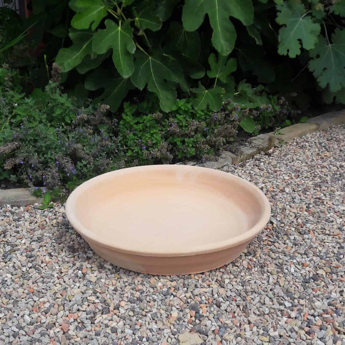 Ein flacher, 30 cm großer Unterteller-Untersetzer aus Terrakotta als Vogelbad auf einer Kiesfläche, mit üppigem grünem Laub und kleinen blühenden Pflanzen im Hintergrund.