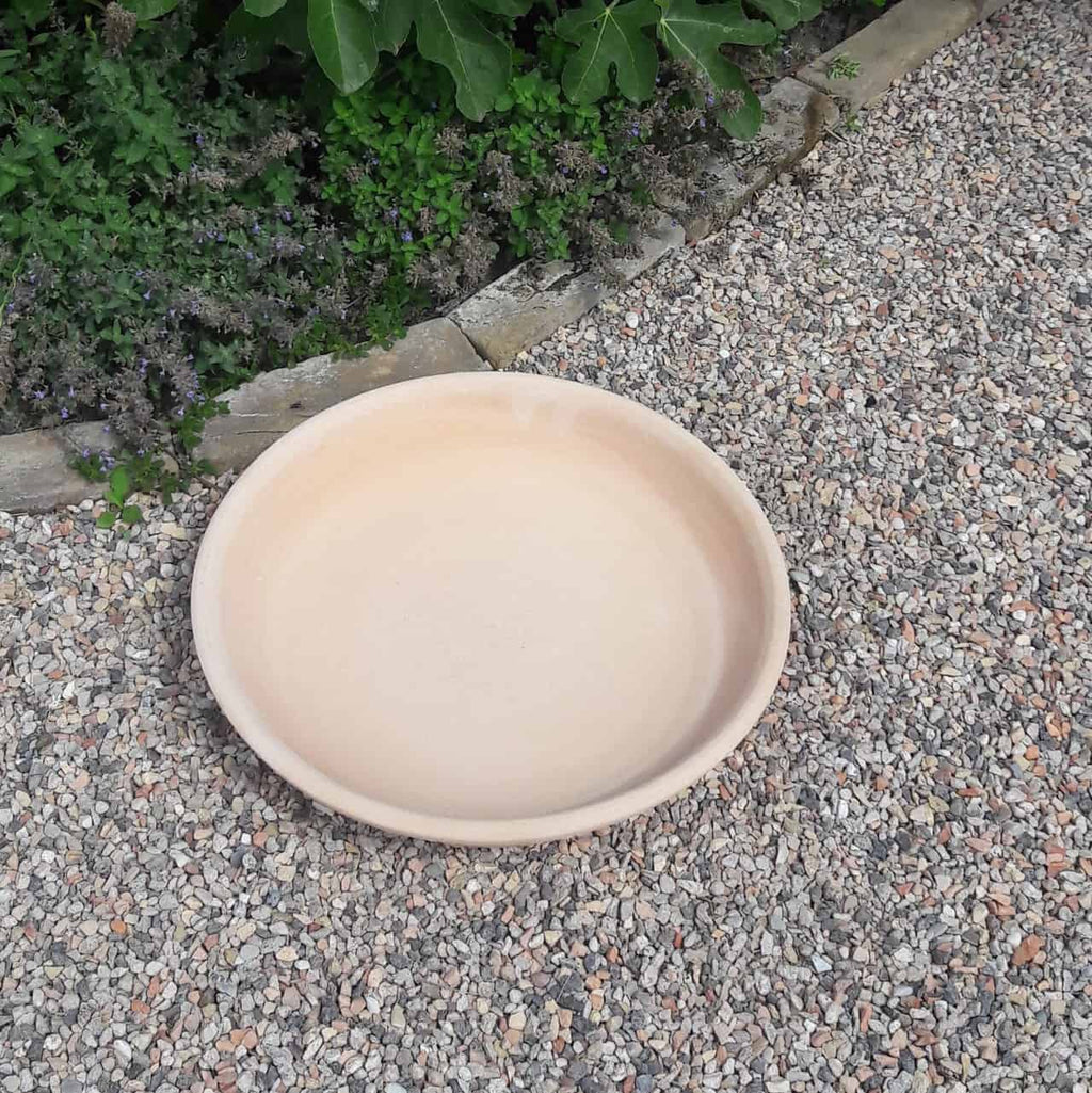 Eine große beige Keramikschale steht auf einer Kiesfläche in der Nähe eines Gartens mit grünen Blattpflanzen und violetten Blumen. Daneben sorgt ein 30 cm großer Terrakotta-Unterteller, Untersetzer, für eine erdige Note und verstärkt den Kontrast zum strukturierten Hintergrund aus Steinen und grünem Laub. Die Schale ist leer und sauber.