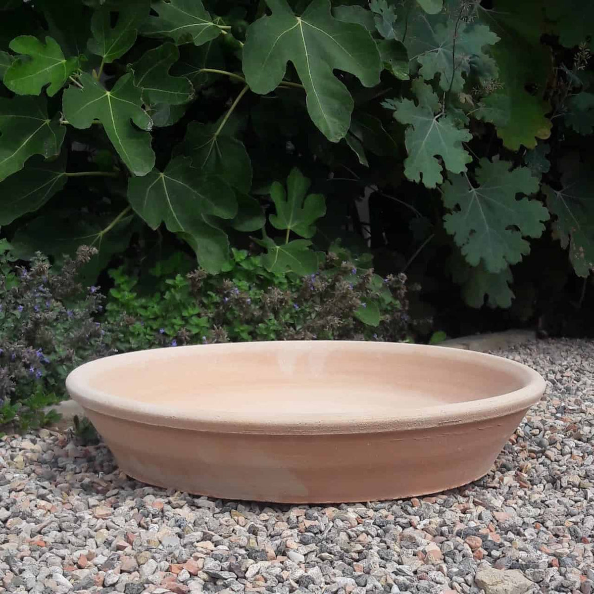 Ein flacher, runder Terrakotta-Unterteller (30 cm) steht auf einem Bett aus kleinen Kieselsteinen. Im Hintergrund sind üppige grüne Blätter und Blätter zu sehen, die eine einladende Gartenatmosphäre schaffen.
