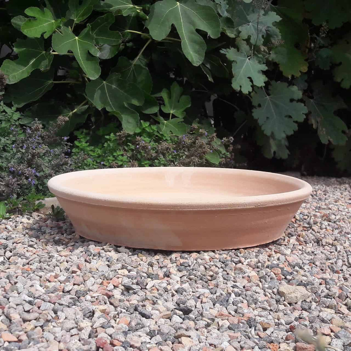 Ein flacher, runder Terrakotta-Unterteller (30 cm) steht auf einem Bett aus kleinen Kieselsteinen, im Hintergrund ist üppiges grünes Laub zu sehen. Der Unterteller hat ein natürliches, erdiges Aussehen und fügt sich harmonisch in die umgebende Gartenumgebung ein.
