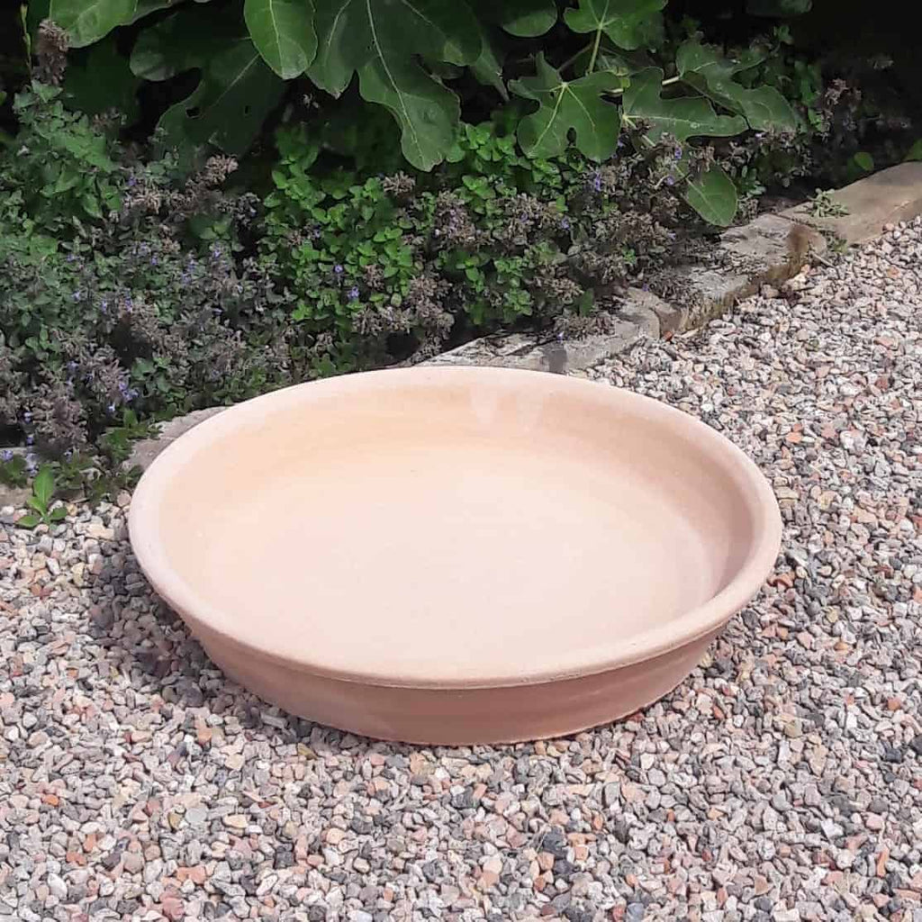 Ein flacher, runder Unterteller aus Terrakotta, Untersetzer 30 cm, Vogelbad steht auf einer Kiesfläche. Der Hintergrund ist mit grünem Laub und einigen tief hängenden violetten Blumen geschmückt und sorgt für eine natürliche Gartenkulisse.
