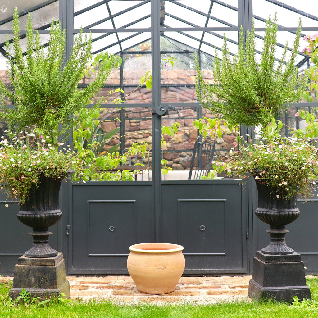 Zwei große schwarze Pflanzgefäße mit hohen Grünpflanzen und Blumen flankieren den 30 cm hohen Keramiktopf "Veronica" vor einem gläsernen Gewächshaus mit Metalltür, das inmitten von Gras und Steinpflaster steht.
