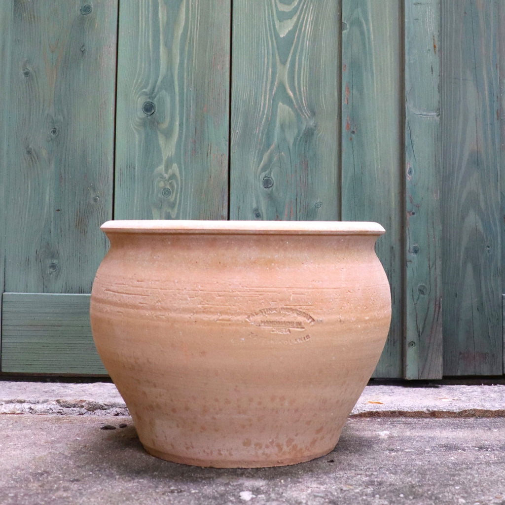 Der große, runde, beigefarbene Keramiktopf "Veronica" (D=30cm) steht auf einer Betonfläche vor einer verwitterten grünen Holztür, ideal als Pflanzentopf für Olivenbaum.