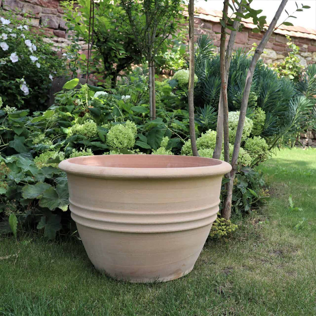 Ein großer, leerer klassischer Blumentopf "Veronica", D=45cm steht auf einer Rasenfläche in einem Garten. Um den Topf herum stehen verschiedene Grünpflanzen, Sträucher und blühende weiße Blumen. Im Hintergrund ist eine rustikale Ziegelmauer zu sehen.