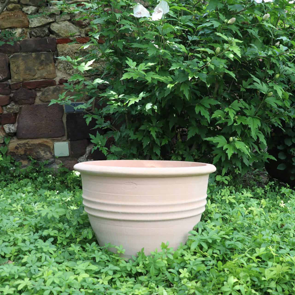 Ein großer, leerer, klassischer Blumentopf „Veronica“, D=45 cm, steht auf einem Bett aus üppigem, grünem Bodendecker vor einer verwitterten Steinmauer. Dichtes Gebüsch mit grünen Blättern, darunter Flecken von Veronica, umgibt den Topf und schafft eine ruhige Gartenszene.