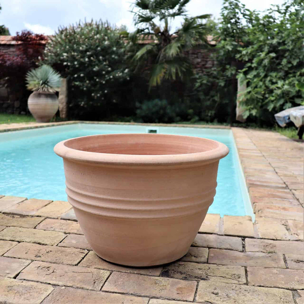 Ein großer, leerer, 45 cm großer, klassischer Blumentopf „Veronica“ steht auf einer Steinterrasse neben einem Außenpool. Der Hintergrund ist mit üppigem grünem Blattwerk, darunter Palmen und einigen Zierpflanzen, versehen. Veronica-Blüten sorgen für einen Hauch von Farbe unter dem teilweise bewölkten Himmel.