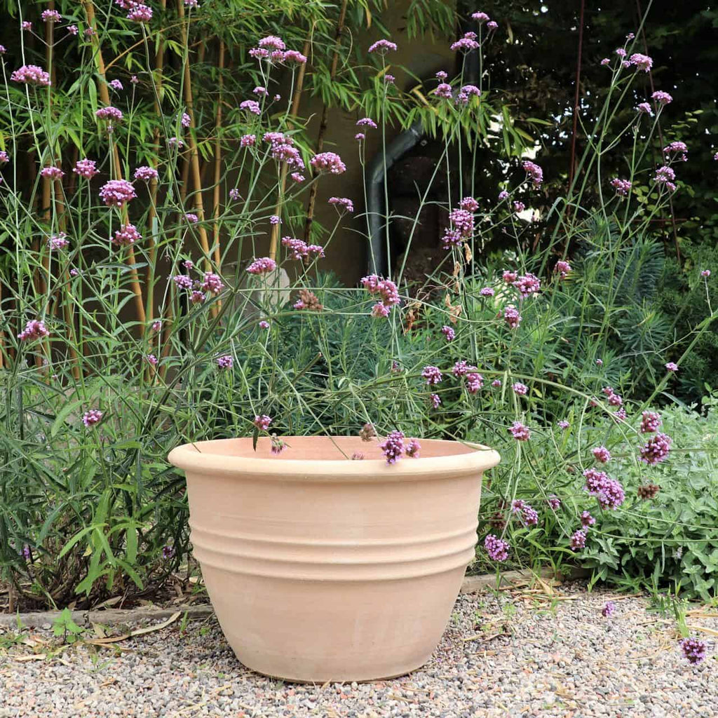 Ein klassischer Blumentopf „Veronica“ mit 45 cm Durchmesser steht leer auf einer Kiesfläche im Freien. Um und hinter dem Topf wachsen hohe, schlanke violette Veronica-Blüten mit grünen Stielen. Der Hintergrund zeigt üppiges Blattwerk mit Bambus und verschiedenen Grünpflanzen.