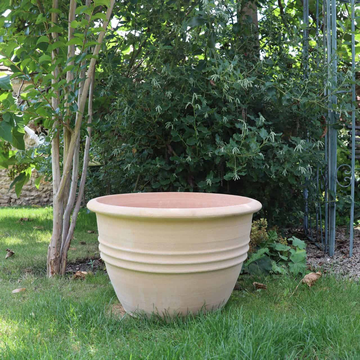 Ein großer, beigefarbener, klassischer Blumentopf „Veronica“ mit horizontalen Rillen steht auf Grasboden, umgeben von üppigen grünen Bäumen und Büschen in einer Gartenumgebung. Der 45 cm große Blumentopf ist von dichtem Laub eingerahmt, rechts davon verläuft ein Kiesweg, der eine ruhige Kulisse bildet, die perfekt zum Einpflanzen von Veronica geeignet ist.