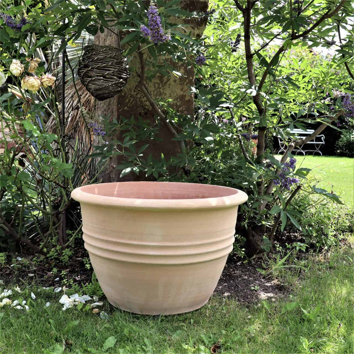 Ein großer, klassischer Blumentopf „Veronica“ mit einem Durchmesser von 45 cm steht in einem Garten, umgeben von Grün und blühenden Blumen. Hinter dem Topf sind eine geflochtene Hängedekoration und ein Baumstamm zu sehen, im Hintergrund sind ein sonnenbeschienener Rasen und Gartenmöbel zu sehen. Die Veronica-Blüten verleihen der Szene lebendige Farben.