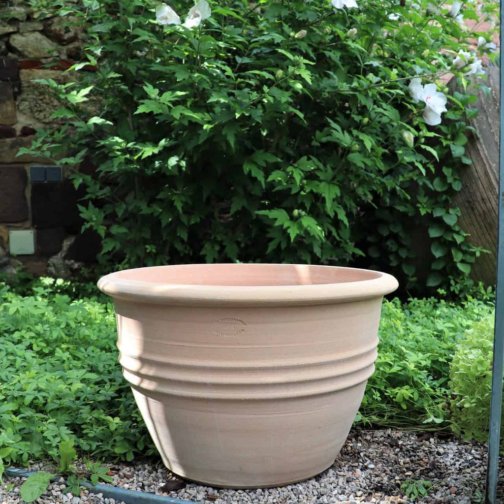 Ein klassischer Blumentopf „Veronica“ mit 45 cm Durchmesser steht prominent auf Kies in einem Garten. Üppiges Grün umhüllt den Topf, und ein blühender Veronica-Busch ergänzt den Hintergrund der kleinen Pflanzen. Die helle, ruhige Szene lässt auf einen gepflegten Gartenbereich schließen.