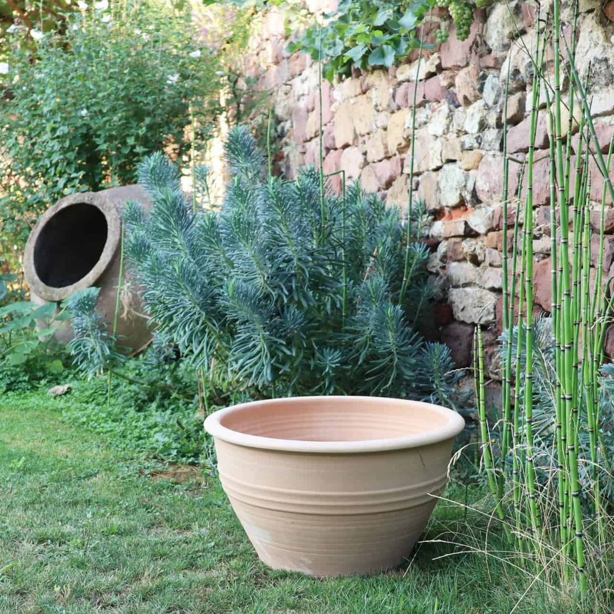 Eine Gartenszene mit einem großen, leeren Terrakotta-Topf auf der Wiese. Dahinter sind Grünpflanzen, darunter Bambus und Ehrenpreis, und eine rustikale Steinmauer zu sehen. Eine winterharte Pflanzschale „Veronica“ mit einem Durchmesser von 55 cm steht ebenfalls im Hintergrund neben dem schräg gestellten Tongefäß an der Steinmauer.