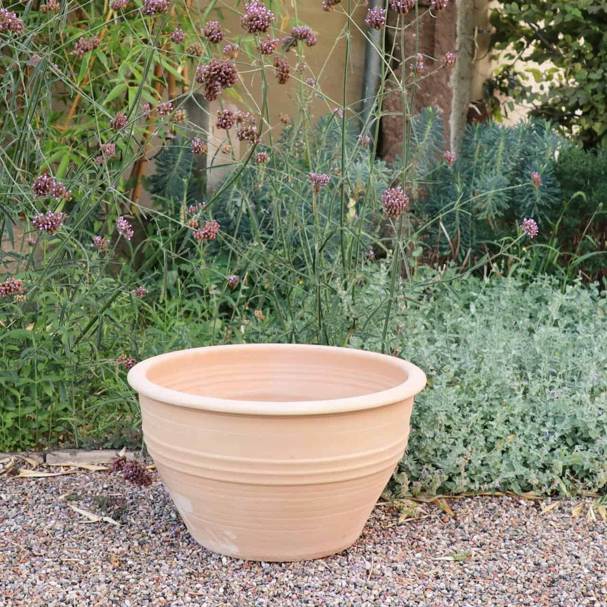 Die winterharte Pflanzschale „Veronica“ mit 55 cm Durchmesser steht leer auf Kiesboden vor einem üppigen Garten. Der Garten besteht aus verschiedenen Grünpflanzen und hohen Blütenstängeln mit Büscheln kleiner violetter Veronica-Blüten. Im Hintergrund sind ein Baumstamm und Laub zu sehen.