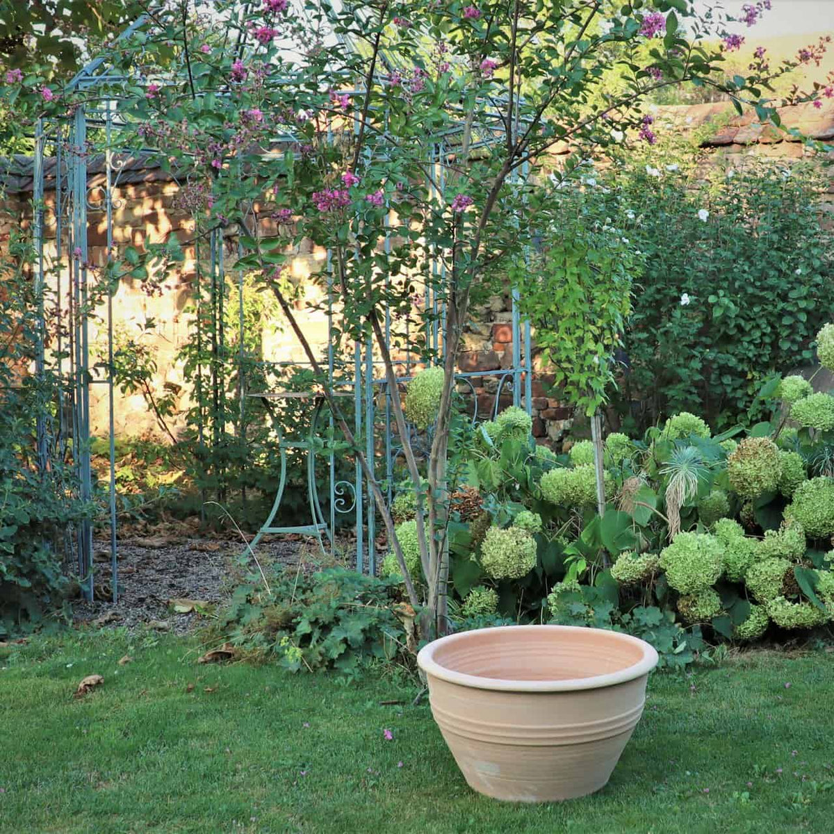 Eine ruhige Gartenszene zeigt eine große, leere winterharte Pflanzschale „Veronica“ mit 55 cm Breite auf einem gepflegten Rasen. Um den Topf herum stehen üppige Hortensienbüsche, ein Baum mit rosa Blüten und ein metallener Gartenbogen mit einer Bank darunter. Eine Steinmauer bildet den Hintergrund.