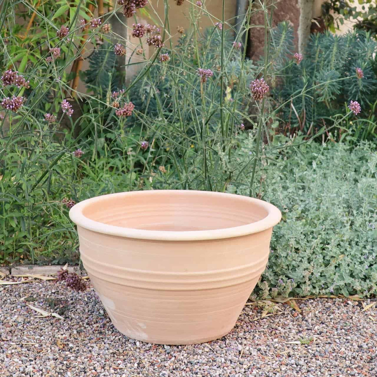 Die winterharte Pflanzschale „Veronica“ mit einem Durchmesser von 55 cm steht prominent auf einer Kiesfläche in einem Garten. Der Hintergrund ist mit üppigem grünem Laub geschmückt, das mit kleinen violetten Veronica-Blüten geschmückt ist und der ruhigen Umgebung einen Hauch von Farbe und Lebendigkeit verleiht.