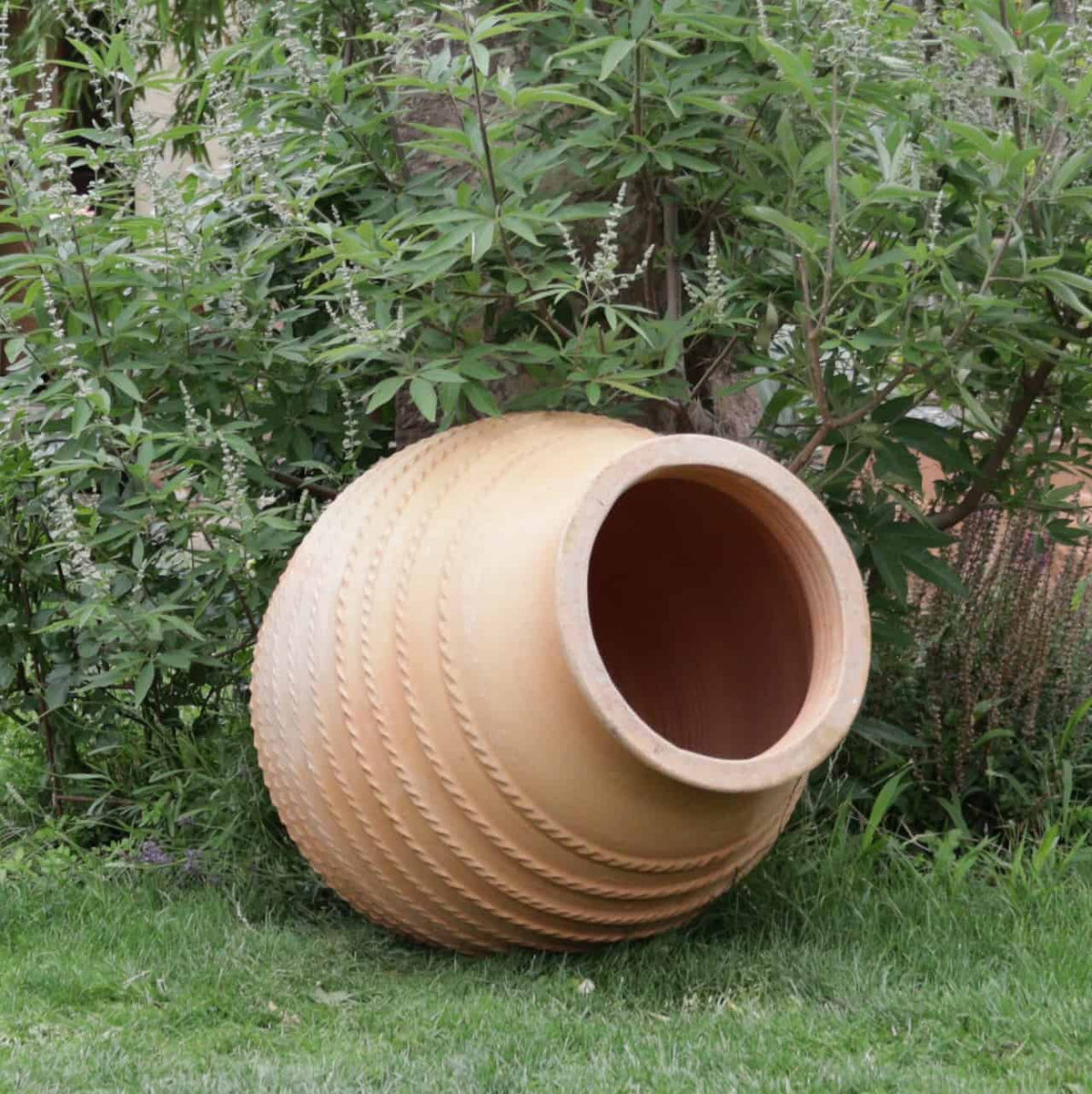 Eine große, runde, beige handgefertigte Amphore „Vitex“ mit strukturierten horizontalen Linien liegt inmitten üppiger grüner Blätter und Gras. Mit einer Höhe von 70 cm wertet dieser elegante Topf die natürliche und ruhige Gartenszene im Freien auf. Eine in der Nähe stehende Vitex-Pflanze trägt zusätzlich zur Ruhe bei.