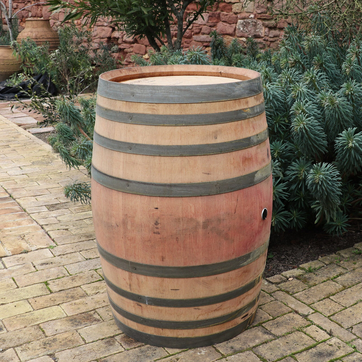 Ein originales 300-Liter-Weinfass, Barriquefass, Regenfass aus Eiche, gebraucht mit Metallbändern steht auf einer gemauerten Terrasse. Es ist von Grün umgeben, darunter ein Busch mit spitzen Blättern, und im Hintergrund ist eine rote Steinmauer zu sehen.