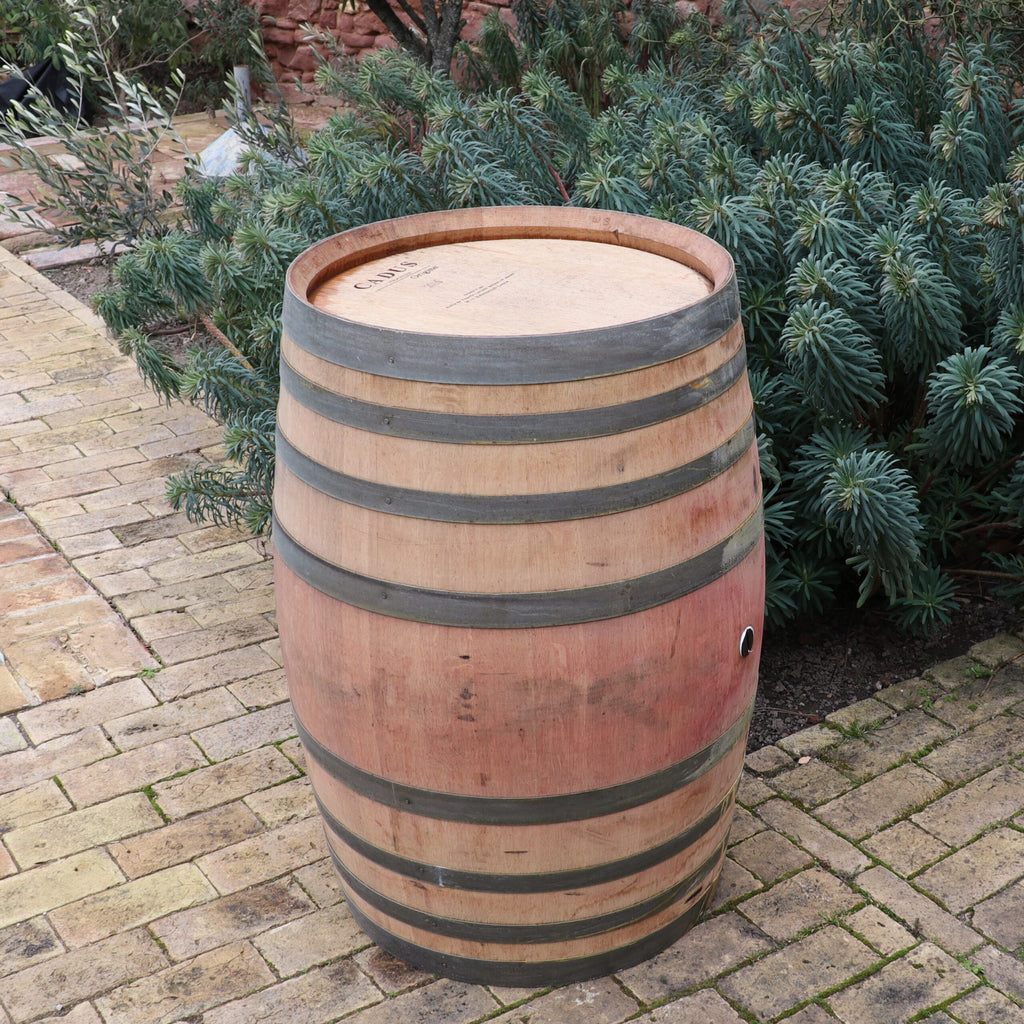 Ein „Original 300L Weinfass, Barriquefass, Regenfass aus Eiche, gebraucht“ steht auf einem Ziegelweg in einem Garten mit üppigen grünen Pflanzen im Hintergrund. Das Eichenfass hat Metallreifen und einen versiegelten Deckel und verbindet rustikalen Charme mit der natürlichen Umgebung.