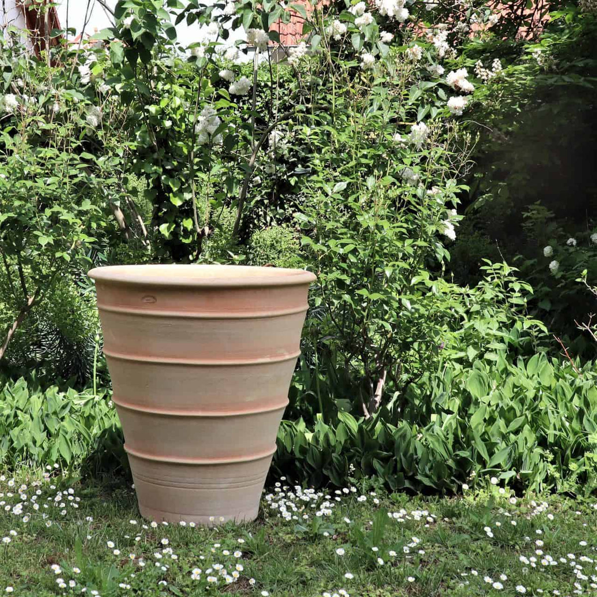 Ein üppiger Garten wird durch das Terrakotta-Pflanzgefäß „Yucca“ aufgewertet, ein großes, geripptes Pflanzgefäß mit einer Höhe von 70 cm. Im Hintergrund sind eine Reihe leuchtend grüner Pflanzen, darunter Yuccas und weiß blühende Blumen, zu sehen, die eine ruhige und lebendige Außenatmosphäre schaffen. Kleine weiße Blumen sind auf dem Gras rund um den Topf verstreut.
