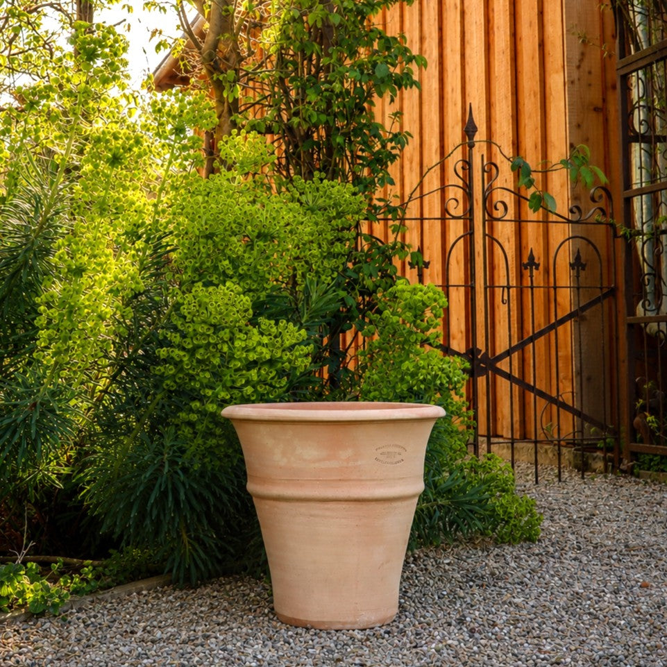 Das winterharte Terrakotta-Pflanzgefäß "Yucca", H=35 cm, steht leer auf Kies inmitten grüner Sträucher, neben einem Holzgebäude und einem schwarzen Metalltor im Sonnenlicht.