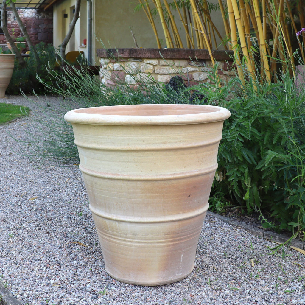 Der winterfeste, terrakottafarbene Blumenkübel groß "Yucca", H=60 cm, steht leer auf einem Kiesweg im Garten, umgeben von grünem Laub, Bambus und einer Yucca neben einer Steinmauer und einem Gebäude.
