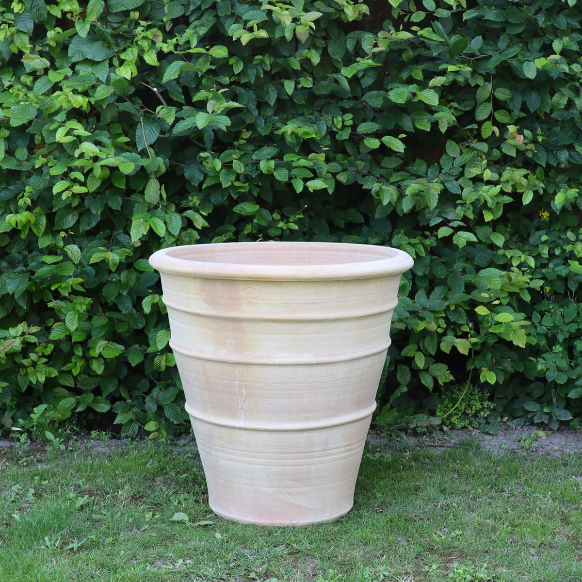 Der winterfeste, terrakottafarbene Blumenkübel groß "Yucca" (H=60 cm) steht leer auf grünem Gras vor einer belaubten Hecke, ideal um eine auffällige Yucca im Freien zu präsentieren.