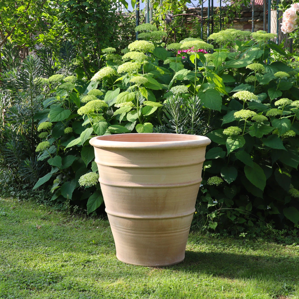Der winterfeste, terrakottafarbene Blumenkübel groß "Yucca", H=60 cm, steht leer auf grünem Gras in einem Garten, umgeben von üppigen Pflanzen, blühenden Hortensien und einer markanten Yucca im Hintergrund.