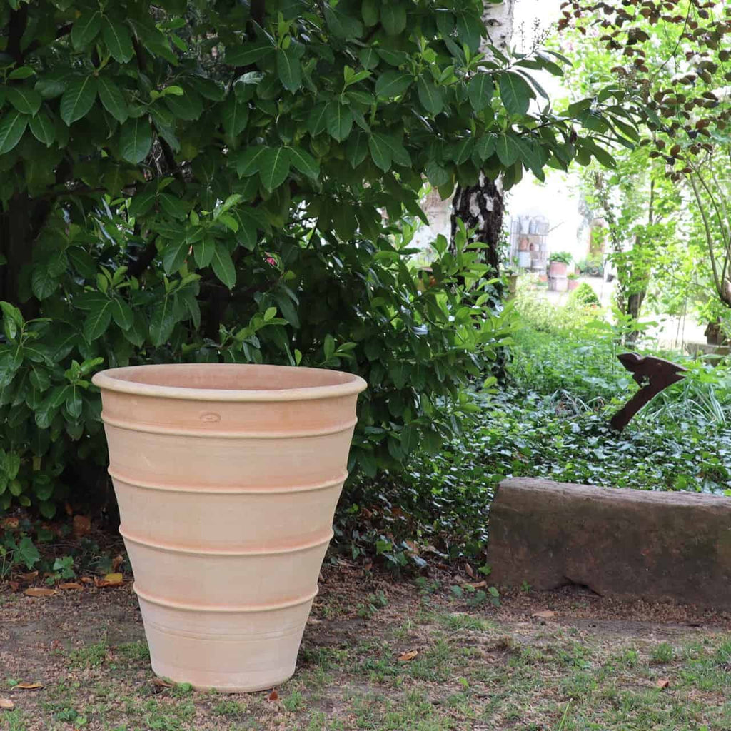 Ein großes, hellbraunes Terrakotta-Pflanzgefäß „Yucca“ mit einer Höhe von 70 cm und geripptem Design steht auf einem Erdfleck in einem Garten, umgeben von üppigem grünem Laub. Eine stattliche Yucca-Pflanze verleiht dem Topf Höhe. Im Hintergrund runden eine Steinbank und verschiedene Pflanzen die ruhige Umgebung ab.