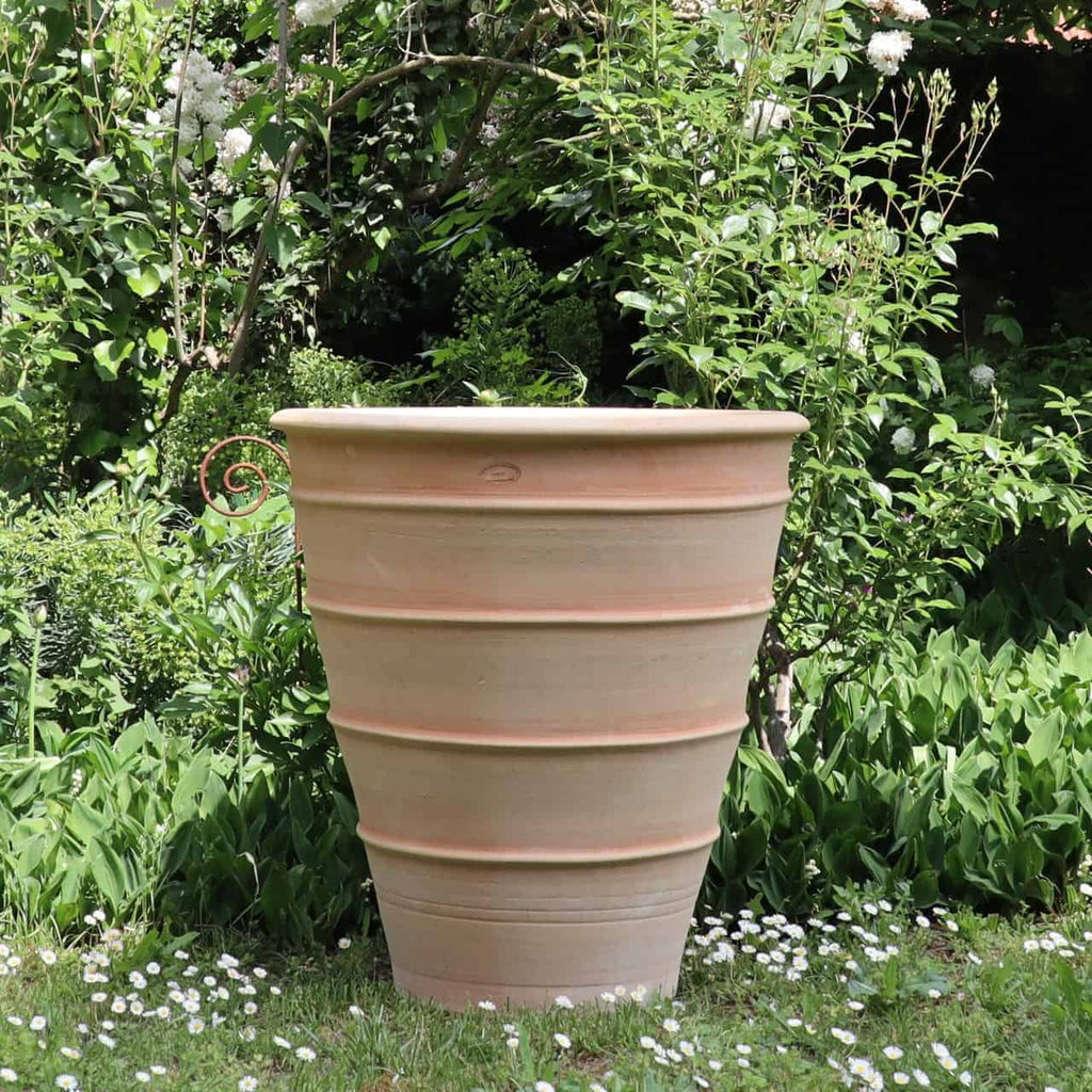 Das 70 cm hohe Terrakotta-Pflanzgefäß „Yucca“ steht auf einem Gartenrasen, umgeben von Grün, darunter verschiedene Pflanzen, Sträucher und weiße Blumen. Sein großer hellbrauner Körper mit geripptem Design ergänzt die auffällige Yucca-Pflanze in der Nähe inmitten des üppigen Laubes im Hintergrund und schafft eine lebendige und ruhige natürliche Umgebung.