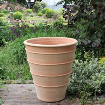 Der 80 cm hohe Blumenkübel hoch „Yucca“ aus Terrakotta mit großer, hellbrauner, konischer Form und horizontalen Rillen steht auf einem Holzdeck in einem üppigen, grünen Garten. Verschiedene Pflanzen, darunter violette Blumen und Yucca-Sträucher, umgeben den Topf. Im Hintergrund sind gepflegte Büsche und ein Schuppen zu sehen.