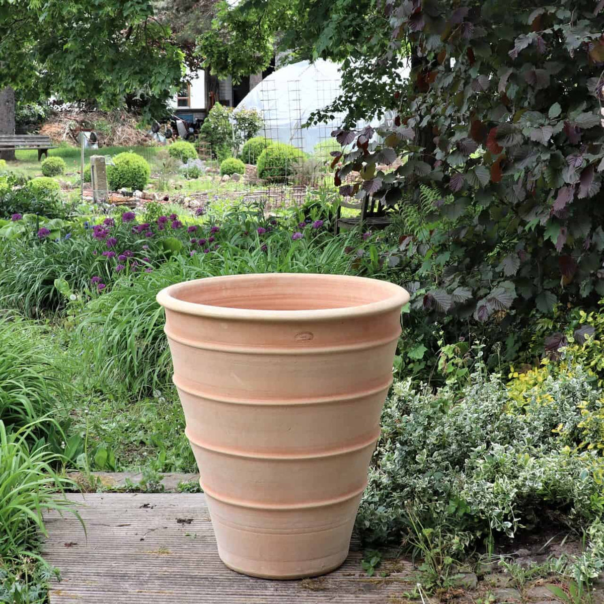 Der 80 cm hohe Blumenkübel „Yucca“ aus Terrakotta mit geripptem Design ziert ein Holzdeck im üppigen Garten. Dieser lebendige Garten präsentiert eine Reihe grüner Pflanzen, darunter Yucca, Sträucher und blühende Blumen, und im Hintergrund ist ein Gewächshaus zu sehen.